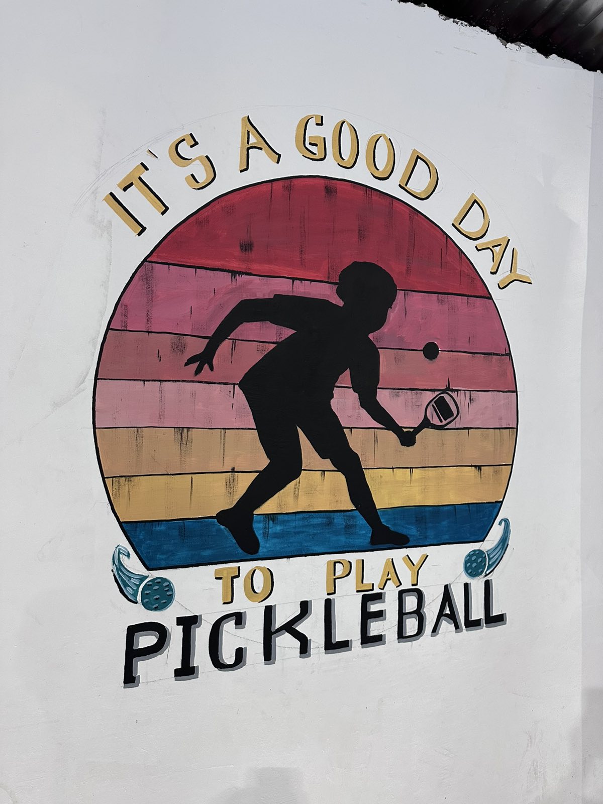 DINK Responsibly Pickleball Court