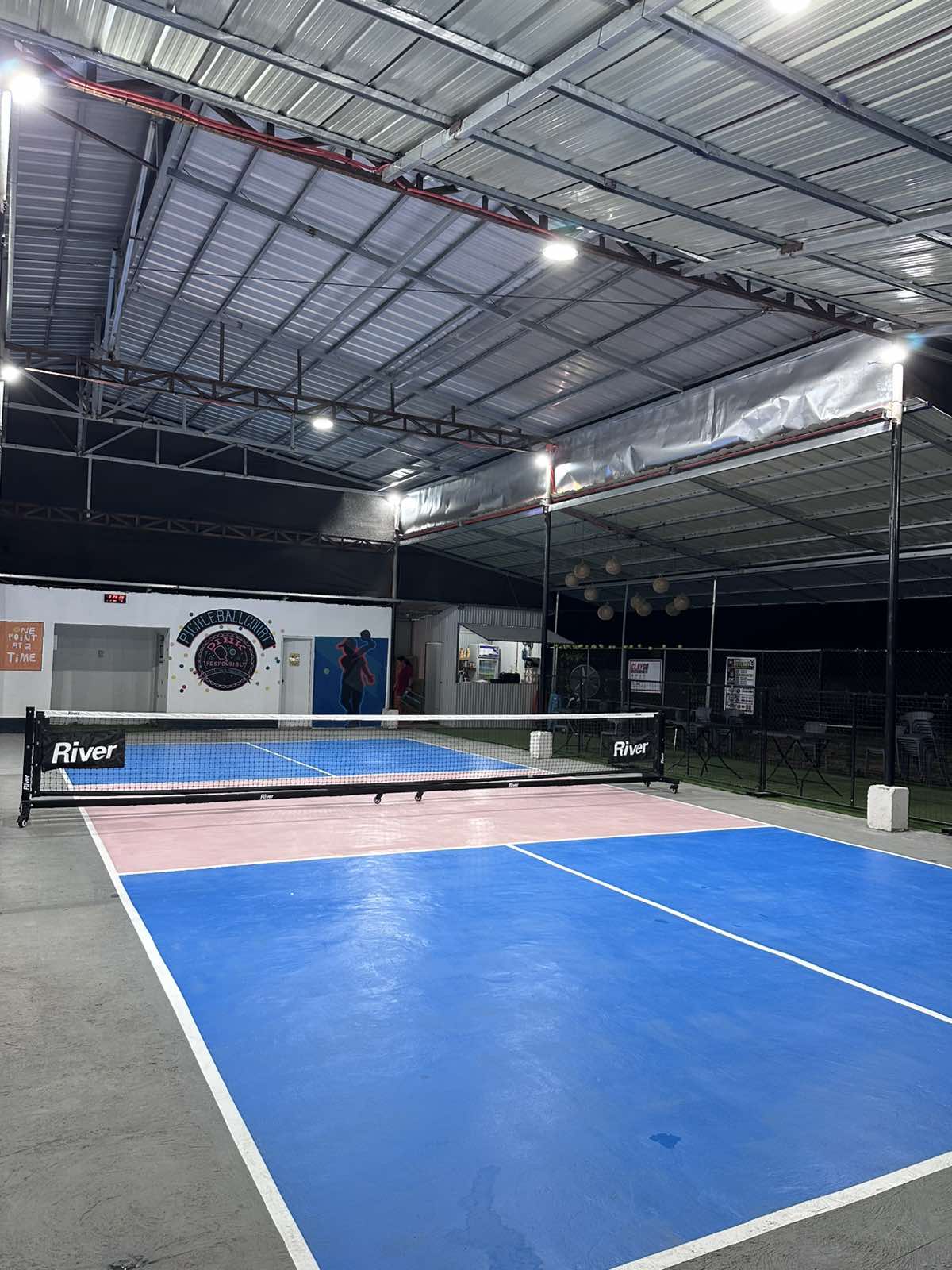 DINK Responsibly Pickleball Court