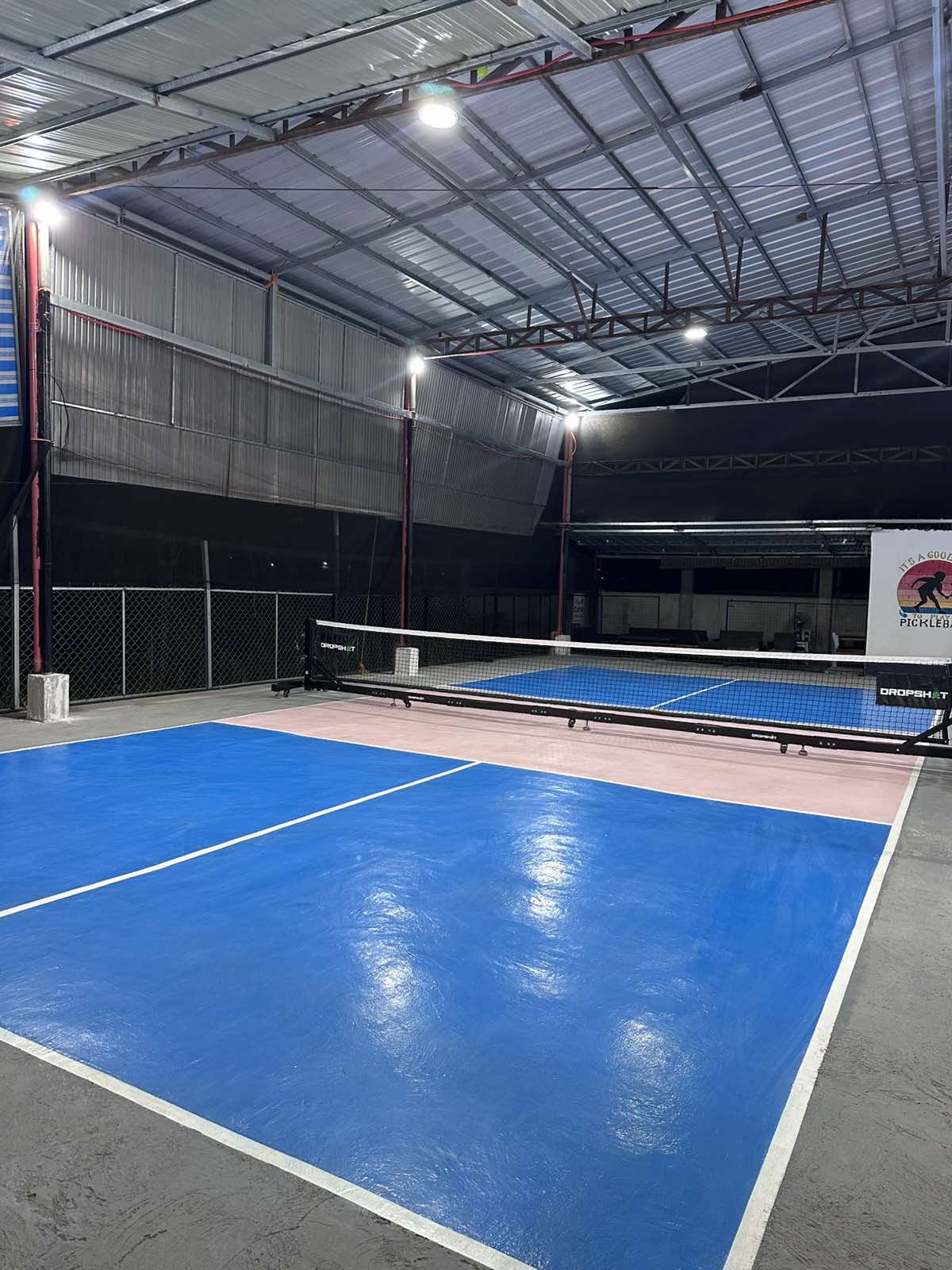 DINK Responsibly Pickleball Court