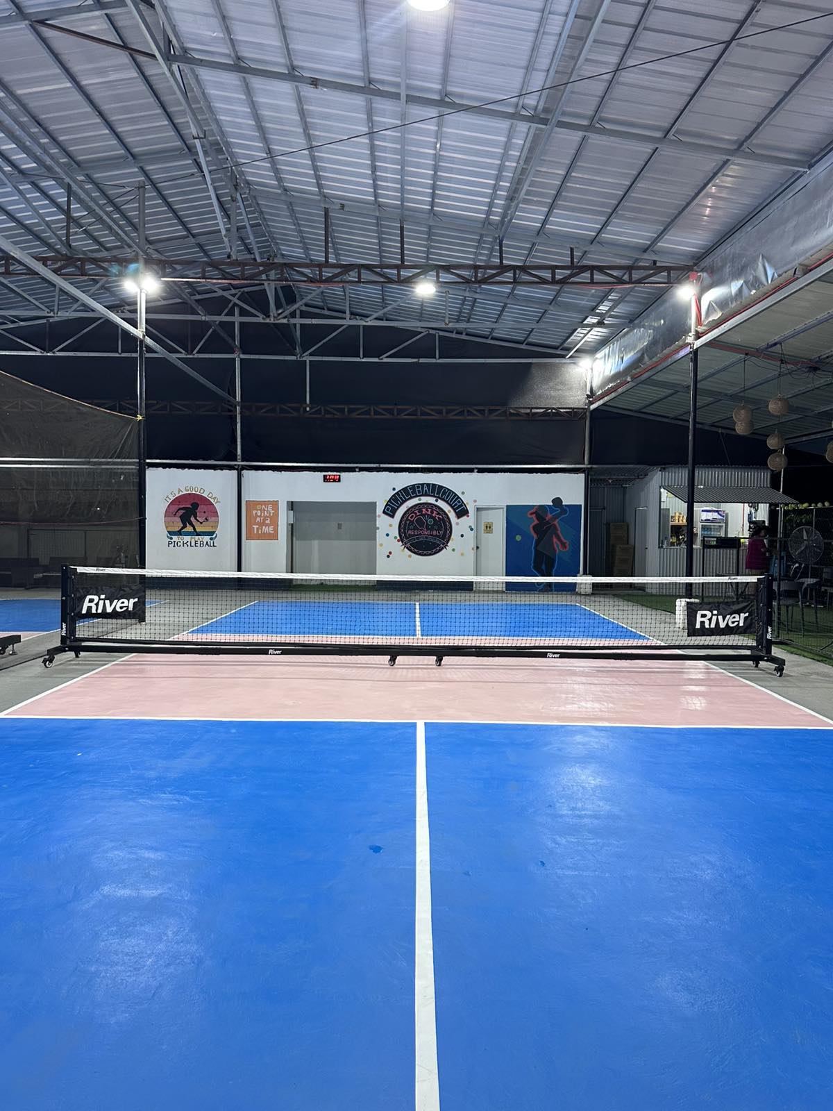 DINK Responsibly Pickleball Court