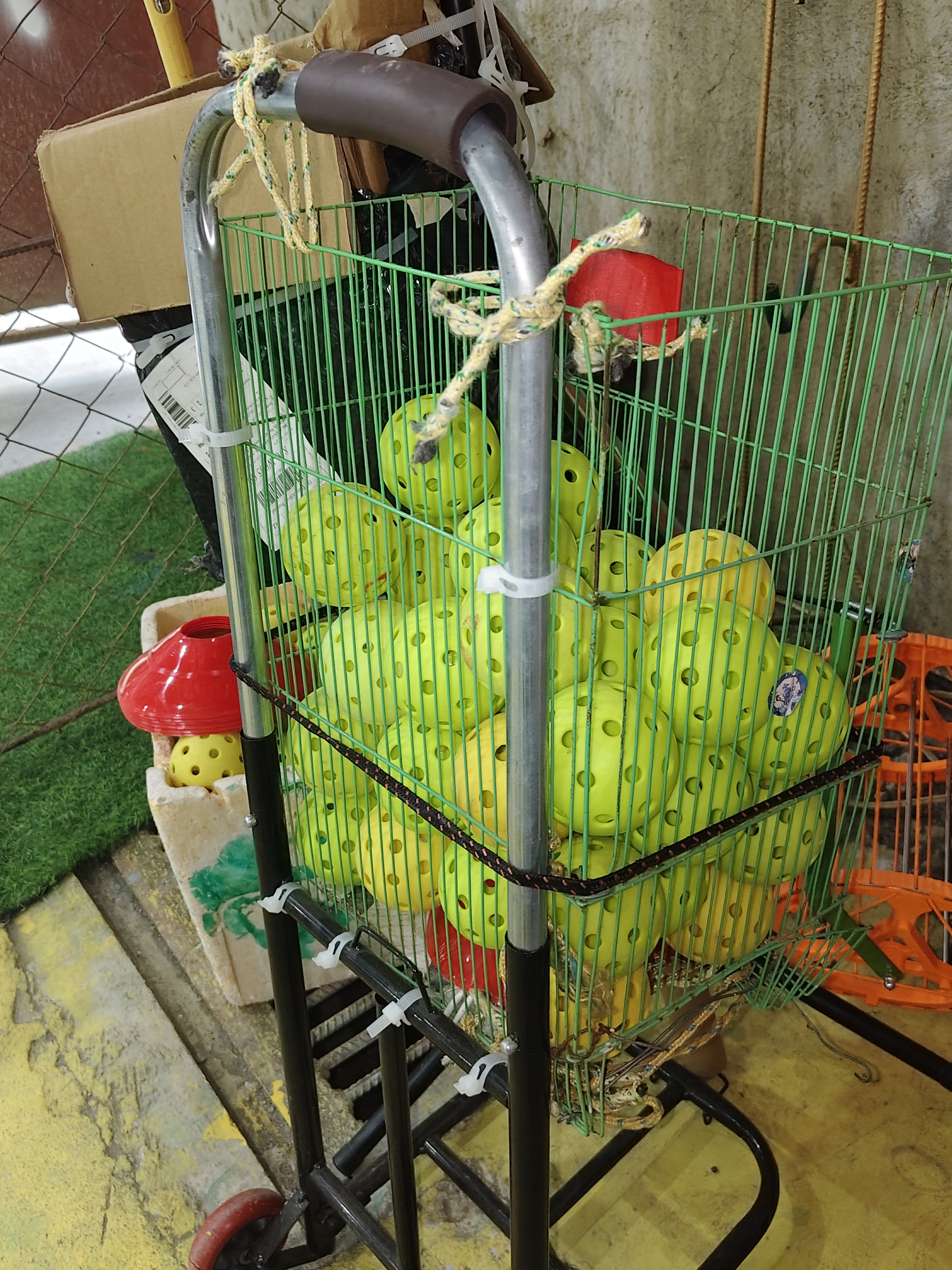 BN Pickle Court